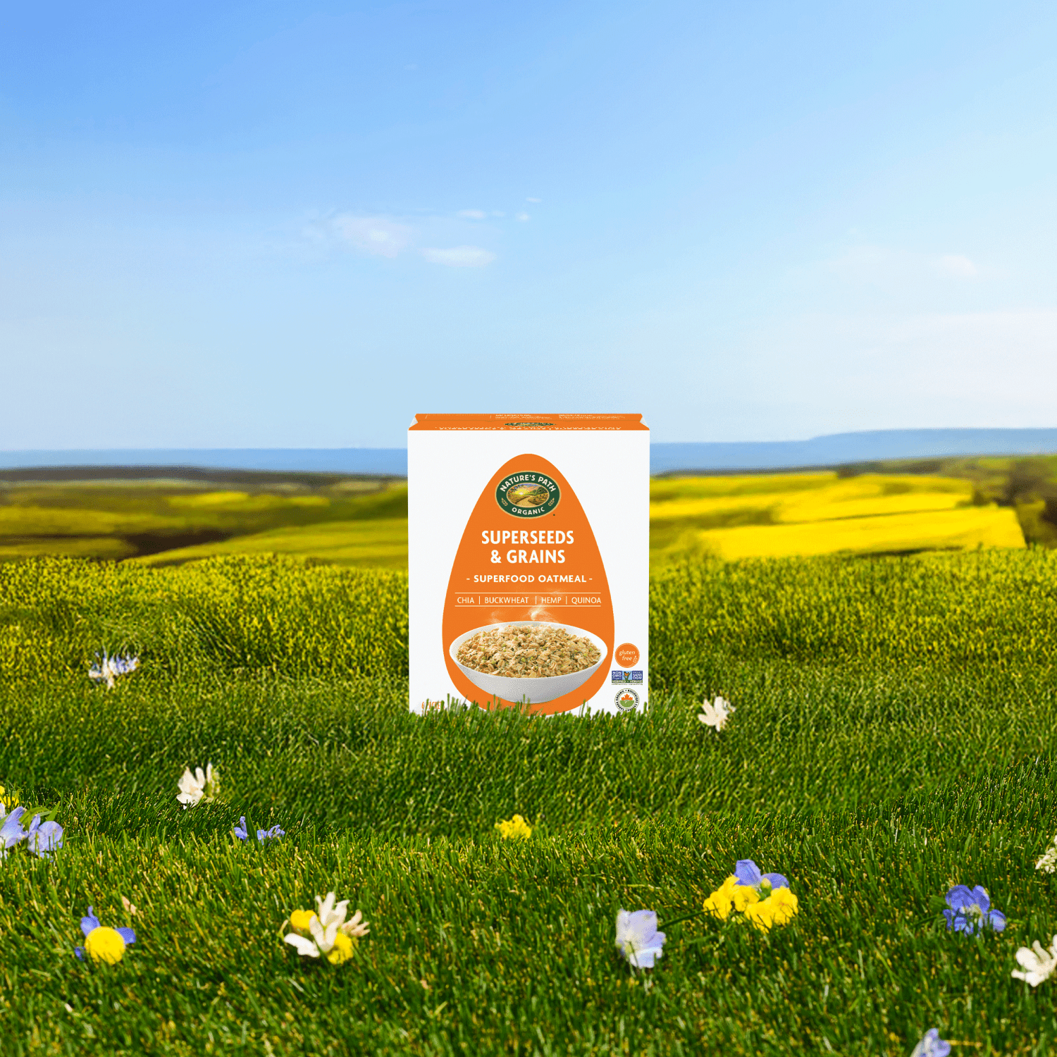 Superseeds-and-Grains-Superfood-Oatmeal_058449154006