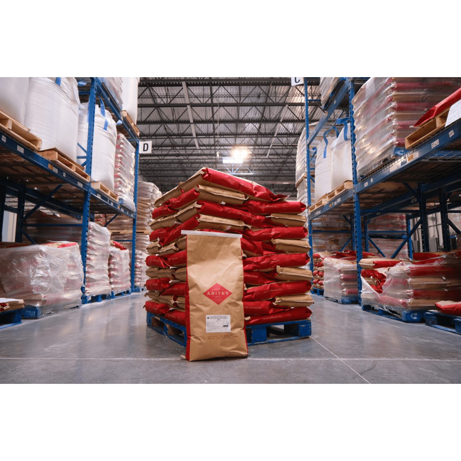 Unbleached_All_Purpose_White_Bread_Flour_623636400046