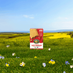 Unfrosted_Berry_Strawberry_Toaster_Pastries_058449410089-41008U2