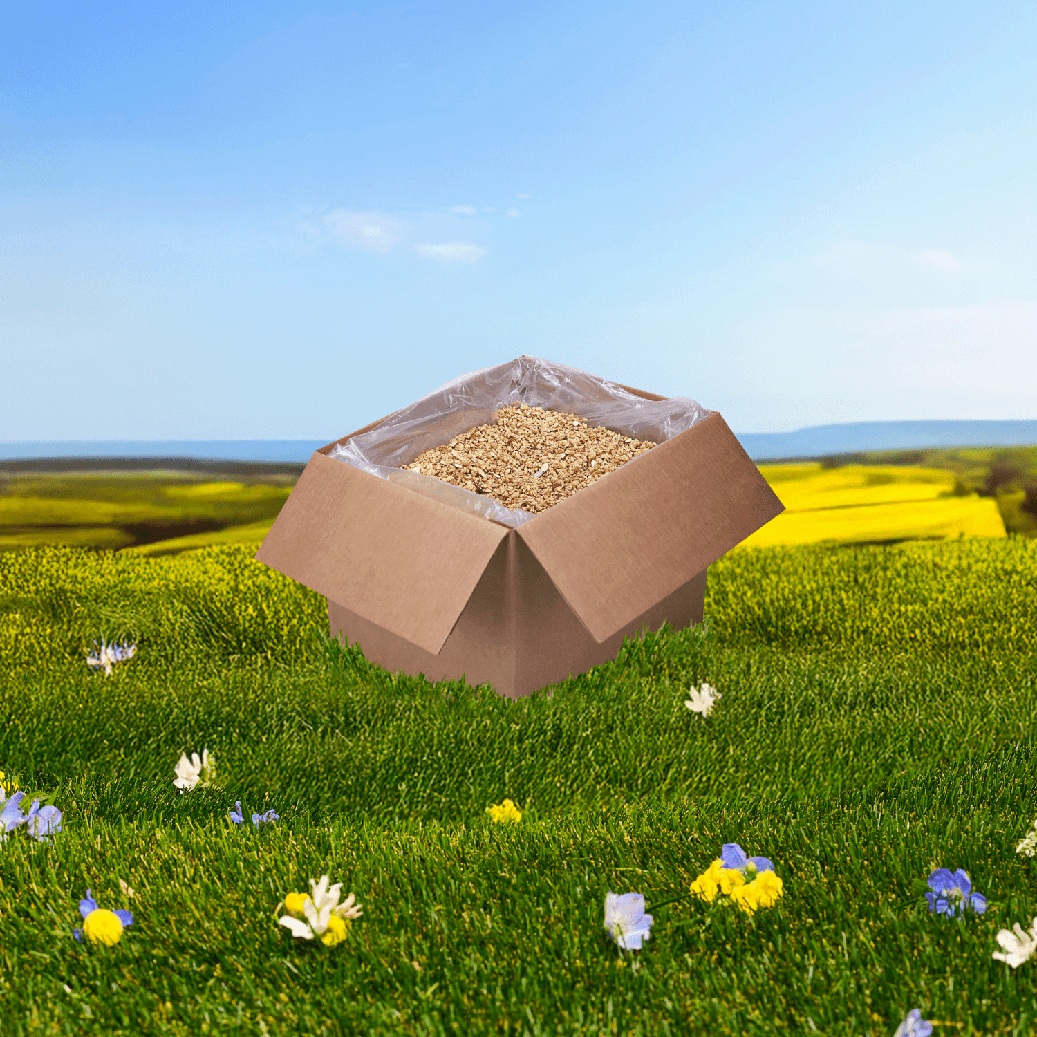 Vanilla Almond + Flax Granola_10058449880124