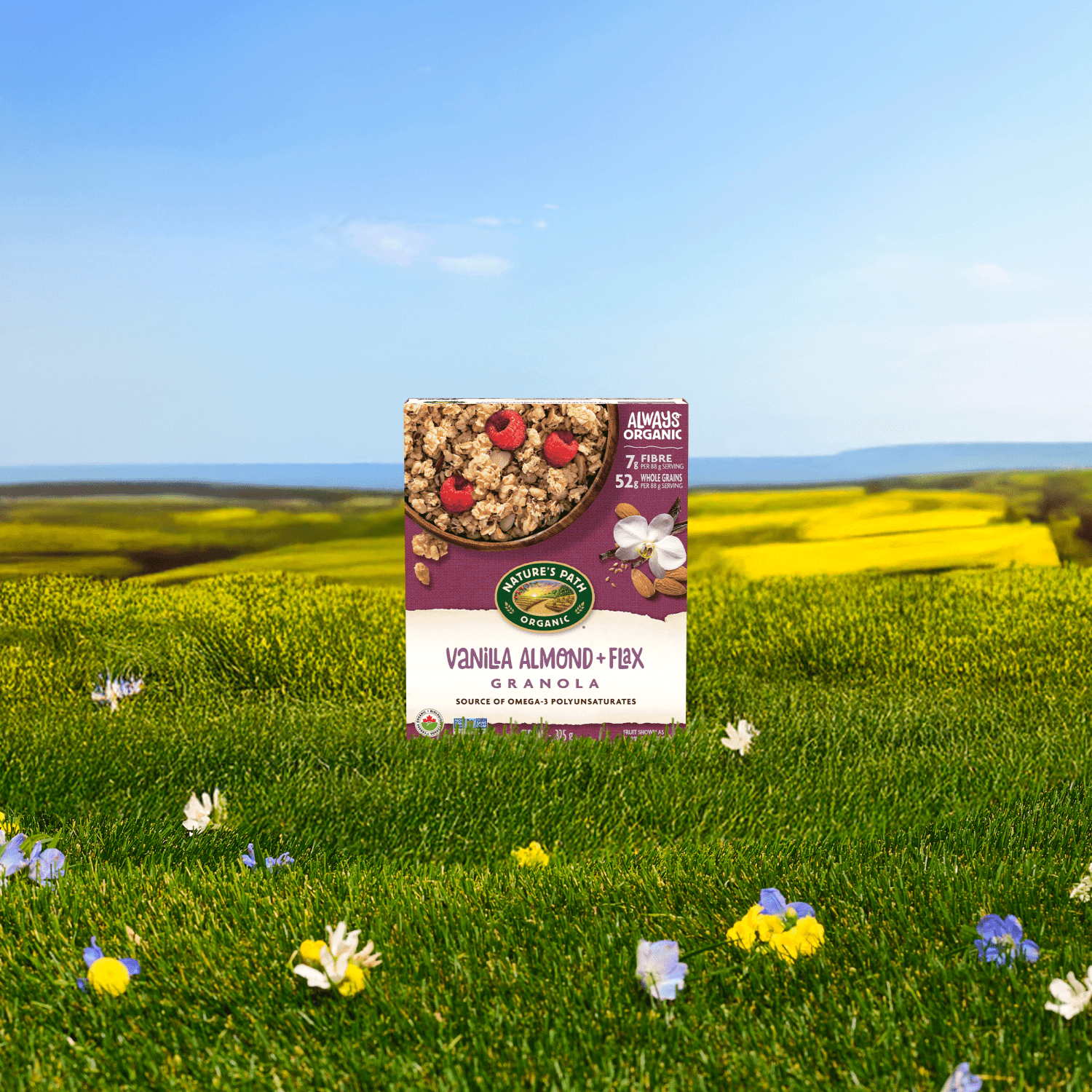 Vanilla_Almond_plus_Flax_Granola_058449890232-89023