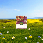 Vanilla_Almond_plus_Flax_Granola_058449890232-89023