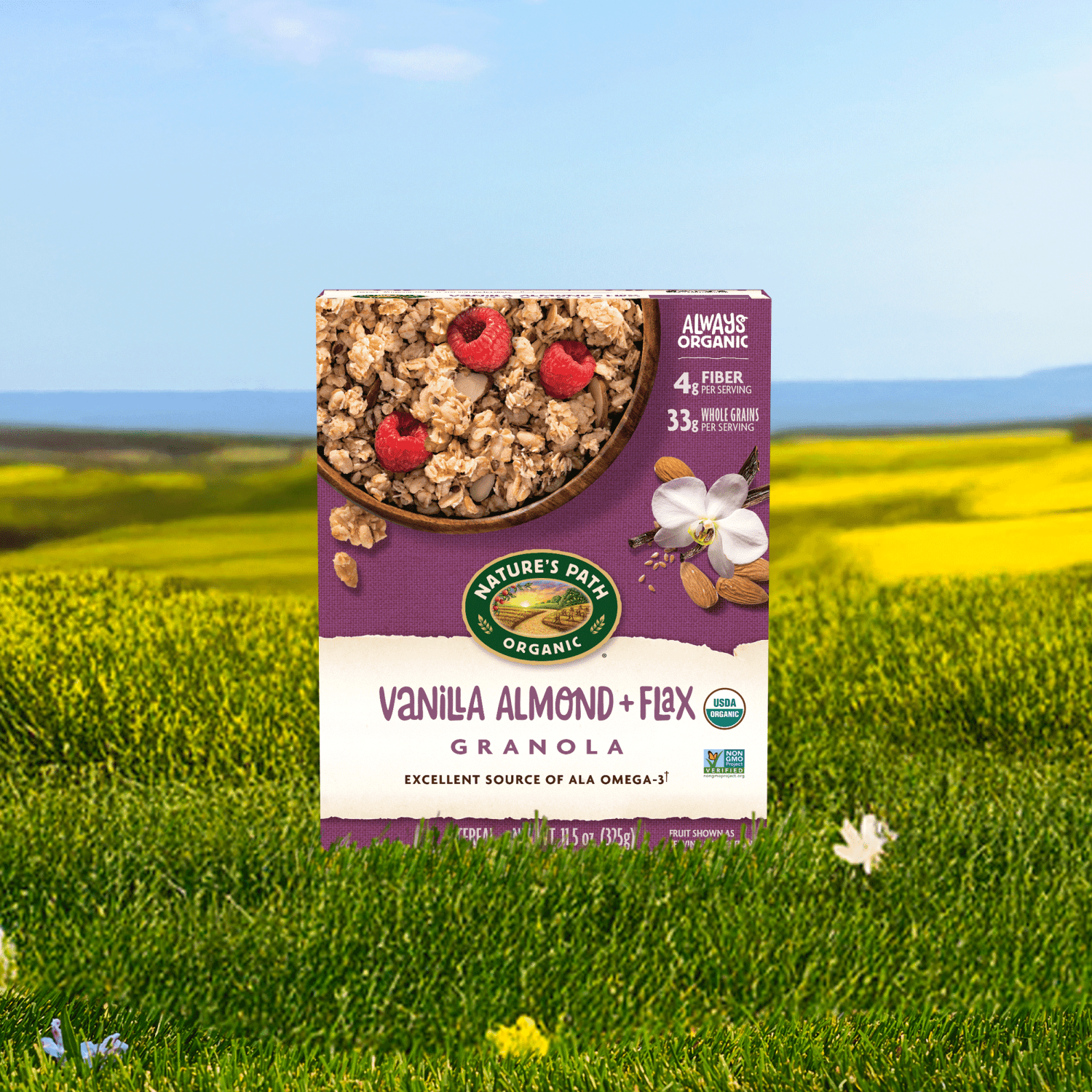 Vanilla_Almond_plus_Flax_Granola_058449890256-89025U