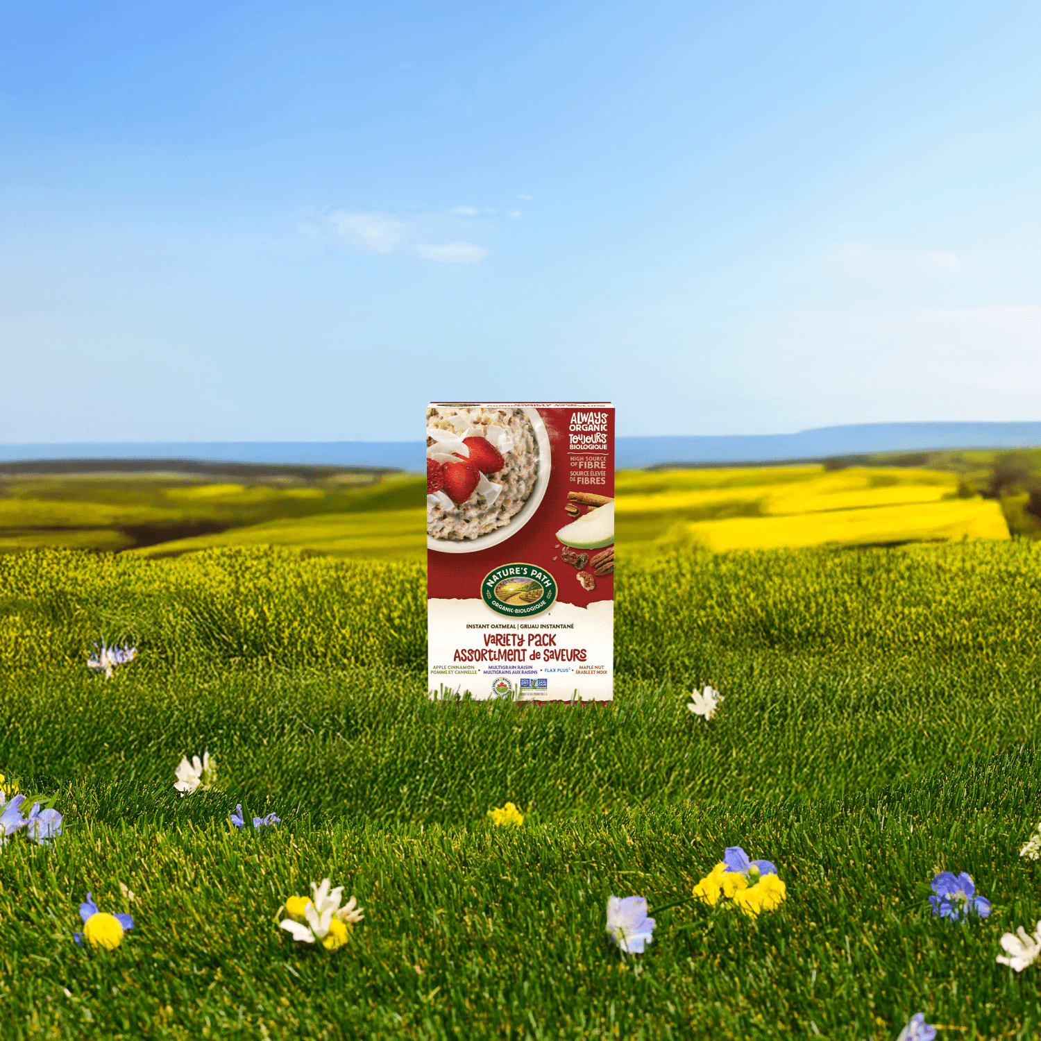 Variety_Pack_Instant_Oatmeal_058449450009-45035