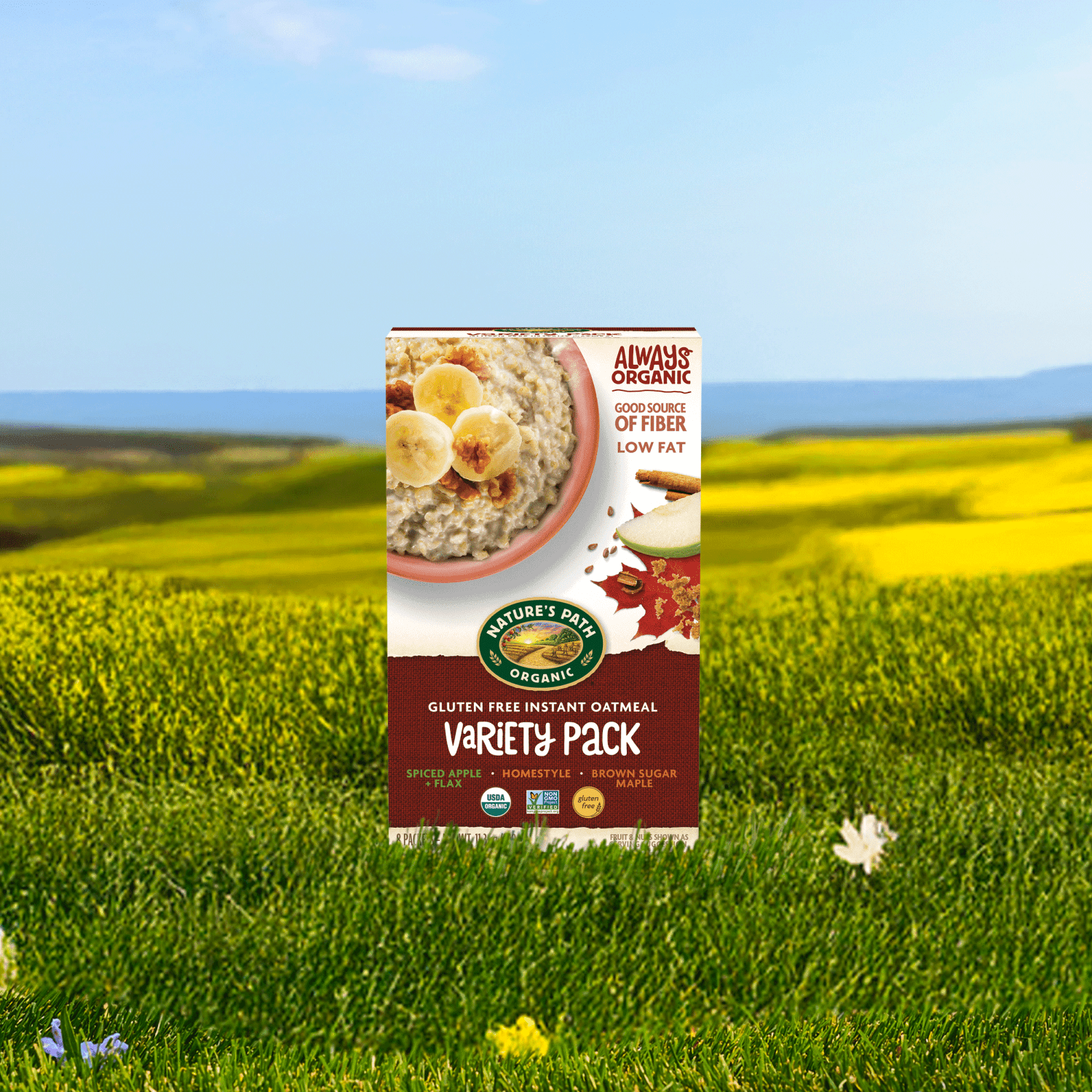 Variety_Pack_Instant_Oatmeal_058449450009-45044U