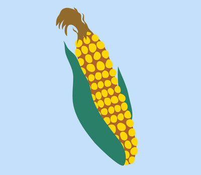 Organic NON GMO Corn