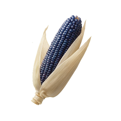 Blue Corn