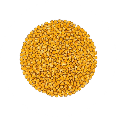 Yellow Corn