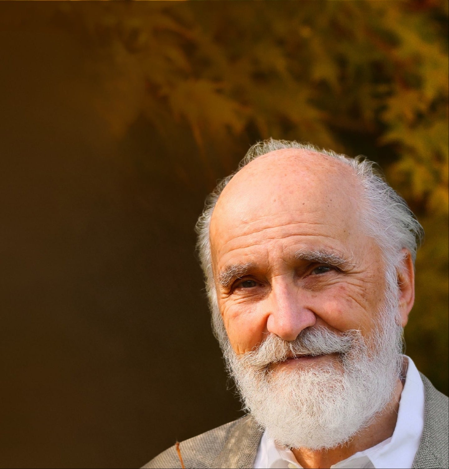 Heat 灼熱 サンクチュアリ　オデッセイ　strain　22冊セット Pokemon Japanese TCG - Heat Wave Arena SV9a (JP)