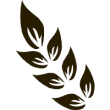natures-favicon 1.png