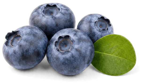Real Blueberries